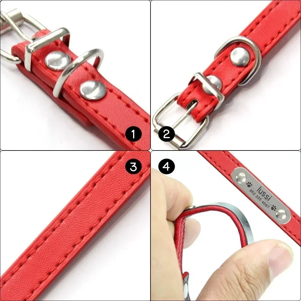 Collar Personalizado para Perro con Nombre y Teléfono