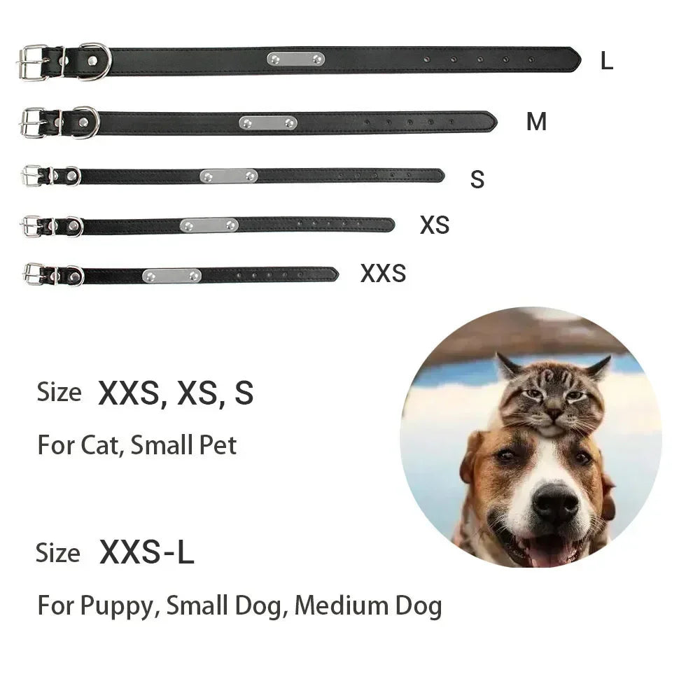 Collar Personalizado para Perro con Nombre y Teléfono